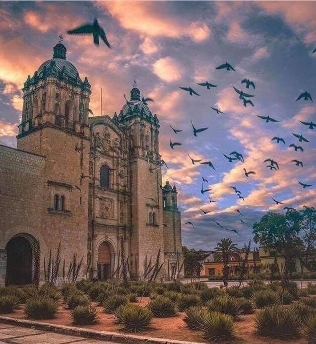 M1010 - The Best Place To Enjoy Oaxaca ภายนอก รูปภาพ